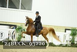 24BUCK_03220 thumbnail