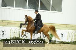 24BUCK_03221 thumbnail