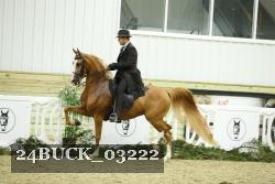 24BUCK_03222 thumbnail