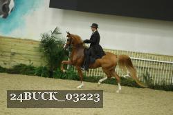 24BUCK_03223 thumbnail