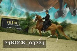 24BUCK_03224 thumbnail
