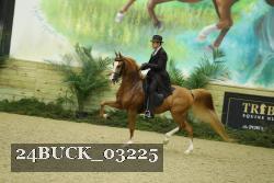 24BUCK_03225 thumbnail