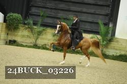 24BUCK_03226 thumbnail