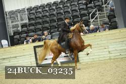 24BUCK_03235 thumbnail