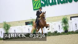 24BUCK_03236 thumbnail