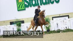 24BUCK_03237 thumbnail