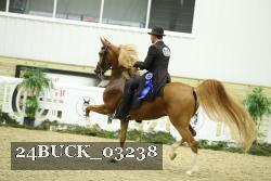 24BUCK_03238 thumbnail