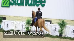 24BUCK_03239 thumbnail