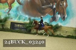 24BUCK_03240 thumbnail