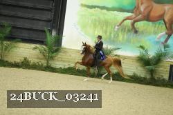 24BUCK_03241 thumbnail