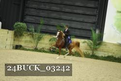 24BUCK_03242 thumbnail