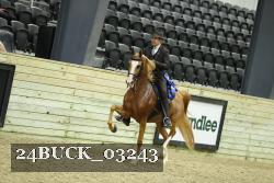 24BUCK_03243 thumbnail