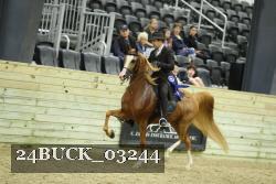 24BUCK_03244 thumbnail