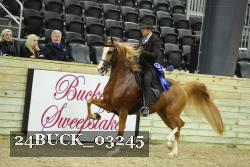 24BUCK_03245 thumbnail