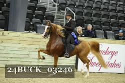 24BUCK_03246 thumbnail