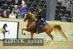 24BUCK_03249 thumbnail