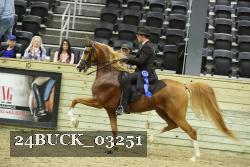 24BUCK_03251 thumbnail