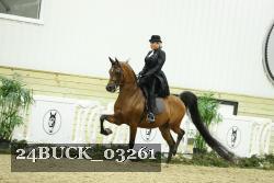 24BUCK_03261 thumbnail