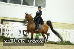 24BUCK_03262 thumbnail