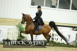 24BUCK_03263 thumbnail