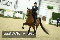 24BUCK_03267 thumbnail