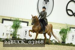 24BUCK_03268 thumbnail
