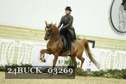 24BUCK_03269 thumbnail