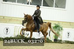 24BUCK_03270 thumbnail