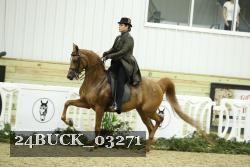 24BUCK_03271 thumbnail