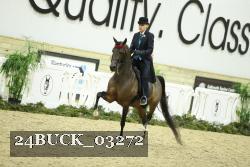 24BUCK_03272 thumbnail