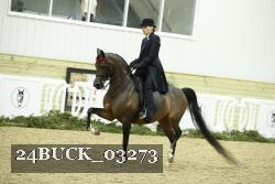 24BUCK_03273 thumbnail