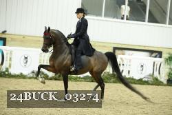 24BUCK_03274 thumbnail