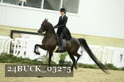 24BUCK_03275 thumbnail