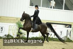 24BUCK_03276 thumbnail