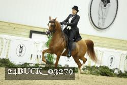 24BUCK_03279 thumbnail