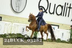 24BUCK_03282 thumbnail