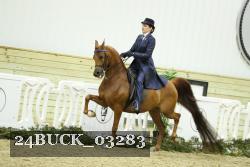 24BUCK_03283 thumbnail