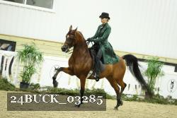 24BUCK_03285 thumbnail