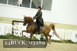 24BUCK_03289 thumbnail