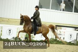 24BUCK_03290 thumbnail