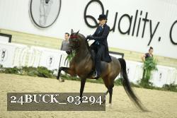 24BUCK_03294 thumbnail
