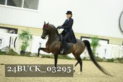 24BUCK_03295 thumbnail