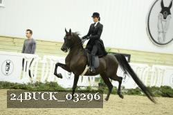 24BUCK_03296 thumbnail