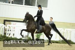 24BUCK_03297 thumbnail