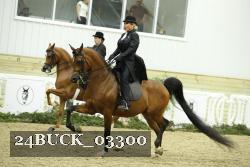 24BUCK_03300 thumbnail