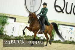 24BUCK_03301 thumbnail
