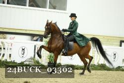 24BUCK_03302 thumbnail
