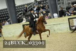 24BUCK_03309 thumbnail
