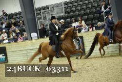 24BUCK_03311 thumbnail