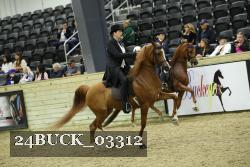 24BUCK_03312 thumbnail
